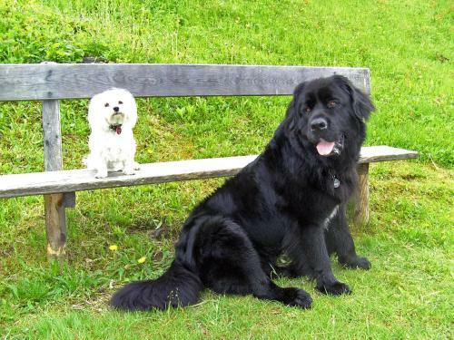 Hotel Moser - Ihr Hotel Mit Herz