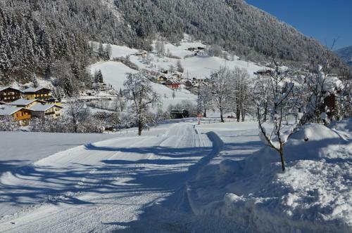 Apartamento Ferienwohnung Bognerhof