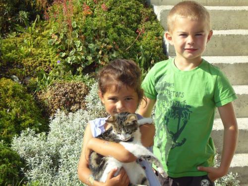 Agroturismo Hattlerhof