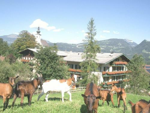 Hotel Torrenerhof