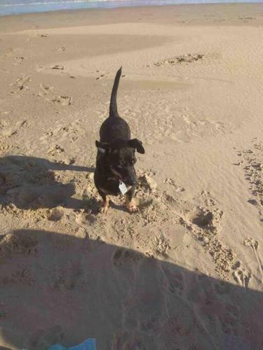 Apartamento Whispering Sands - Remote Beach Cottage