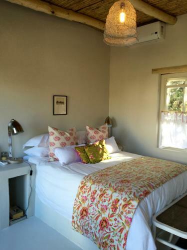 Villa The Olive House, Prince Albert