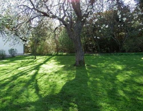 Apartamento Ferienhaus Klingenbrunn
