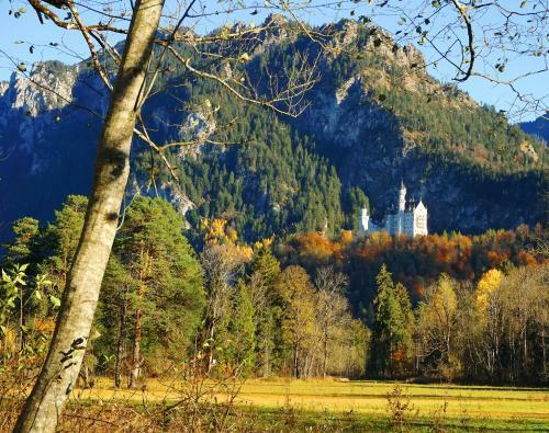Apartamento Branderschrofen
