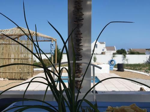 Apartamento The Tiki Hut