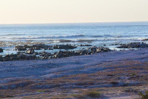 Apartamento Shelley Point On Sea