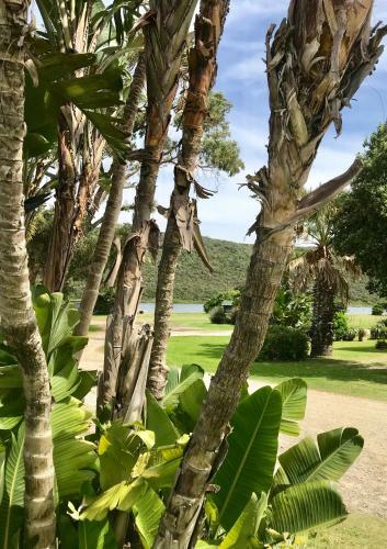 Hostal The Island Retreat