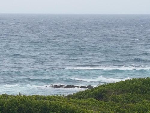 Apartamento Marine48 Self-catering Port Elizabeth