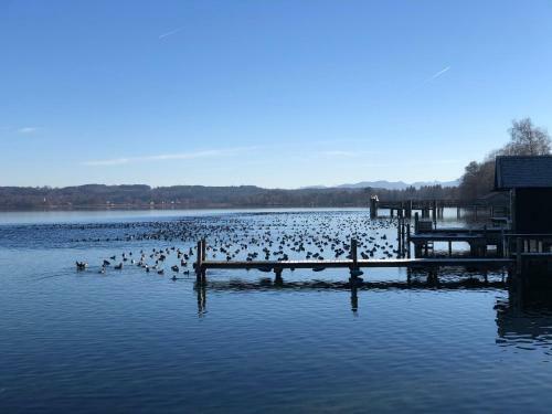Apartamento Ferienwohnung Am Starnberger See