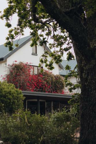 Villa Forest Hall Manor, Private Nature Reserve