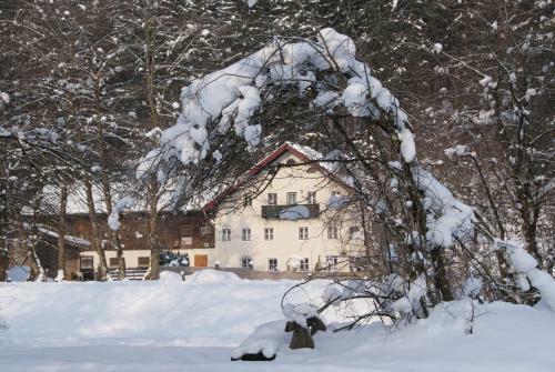 Apartamento Ferienwohnung Bluntaum�hle
