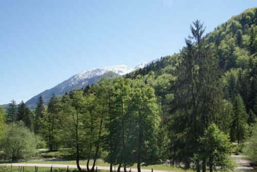 Apartamento Ferienwohnung Bluntaum�hle
