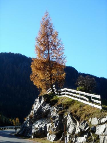 Hotel Alpengasthof Zollwirt