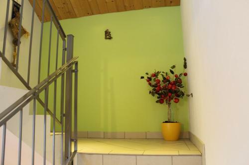 Apartamento Ferienwohnung Scholz