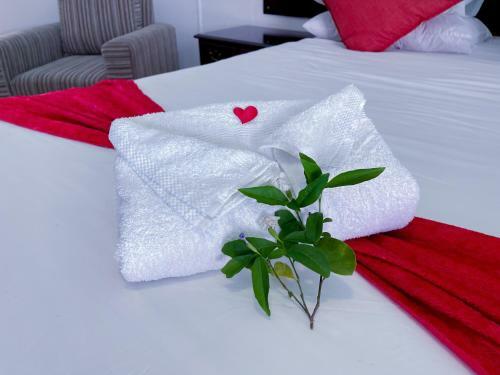 Hostal Neptune Royal Guesthouse