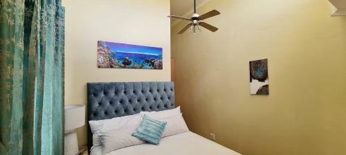 Apartments On Lunnon St, Hatfield, Hillcrest