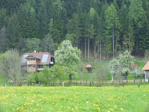 Apartamento Steuerer Hof