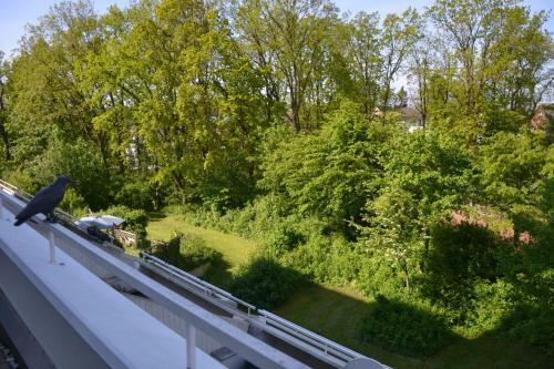 Apartamento Fewo Nr C-411