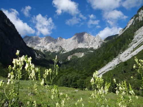 Hostal Hotel Garni Haus Anita