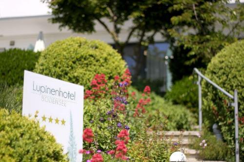 Lupinenhotel Bodensee - Apartment Mit Seeblick