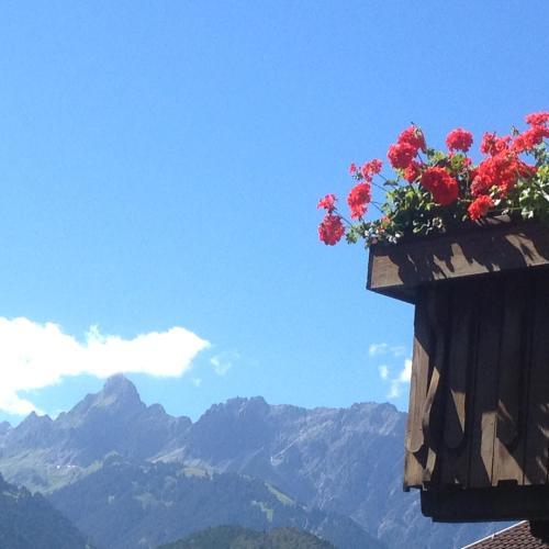 Apartamento Alpenhaus Waldberg