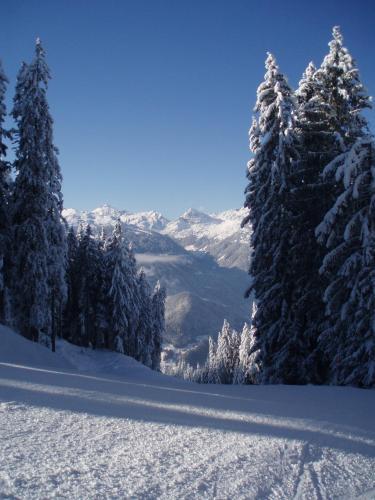 Apartamento Alpenhaus Waldberg