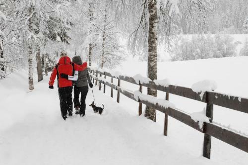 Bed & Breakfast Gasthof Oberbr�u