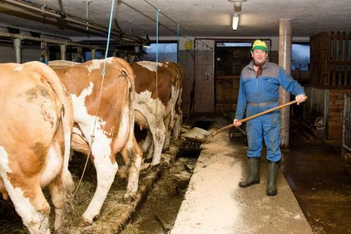 Agroturismo Taxerhof