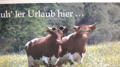 Agroturismo Taxerhof