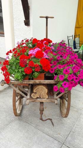 Agroturismo Taxerhof