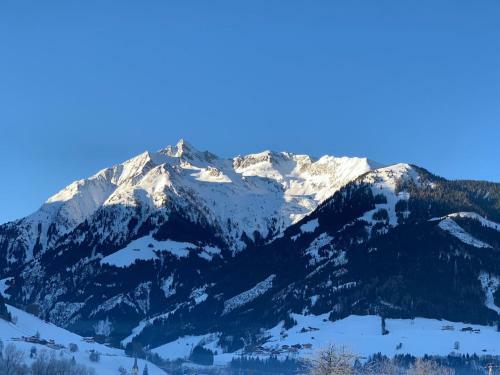 Apartment Chalet Pihapperblick 2