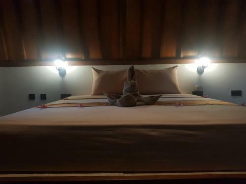 Bed & Breakfast Tropical Sunday Bungalow - Surf And Stay