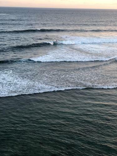 Bed & Breakfast Tropical Sunday Bungalow - Surf And Stay