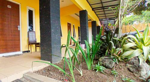 Bed & Breakfast Grand Ijen Premiere