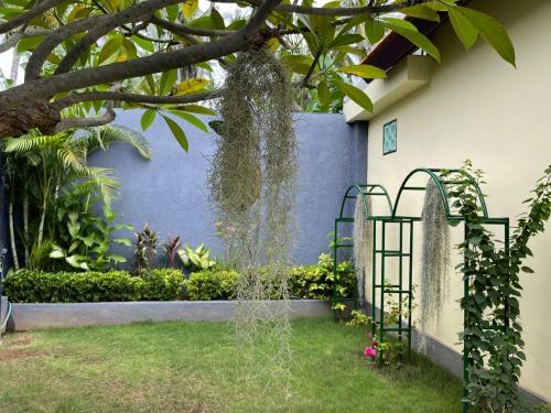 Hotel Mias Jungle House