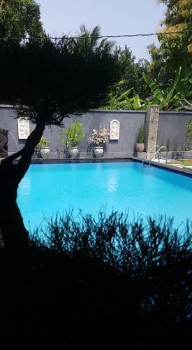 Hotel Mias Jungle House