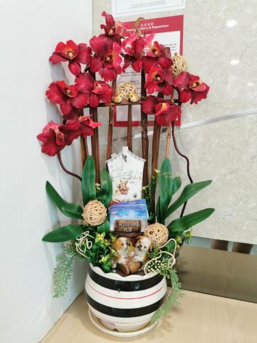 Hostal Secret Garden Warni Villa (muar)
