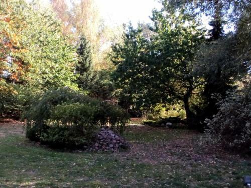 Hotel Leppiner Hof - B&B Fr�hst�ckspension