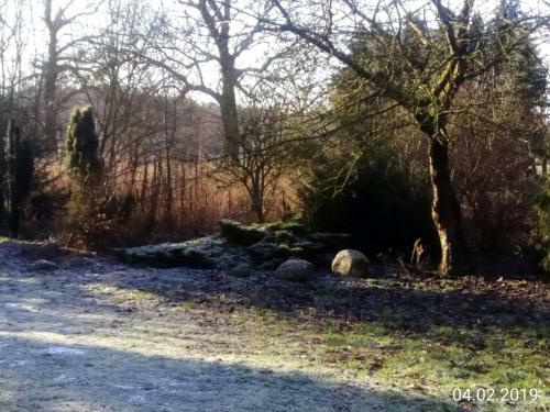 Hotel Leppiner Hof - B&B Fr�hst�ckspension