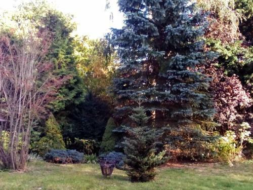Hotel Leppiner Hof - B&B Fr�hst�ckspension