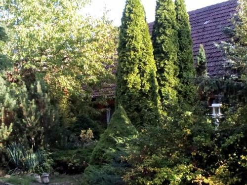 Hotel Leppiner Hof - B&B Fr�hst�ckspension