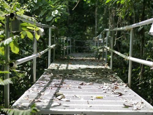Gibbon Retreat Bentong