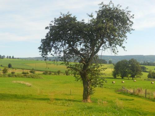 B&B Domaine Du Vieux Ch�ne