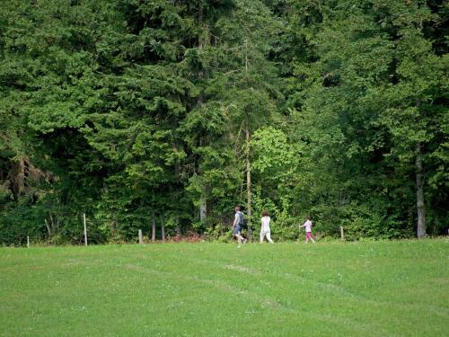Cozy Chalet In W Rgl Boden With Private Garden