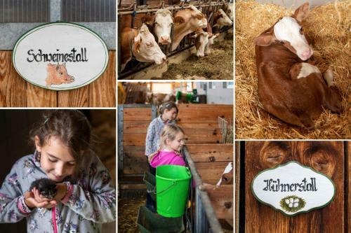 Agroturismo Ferienhof Kandler