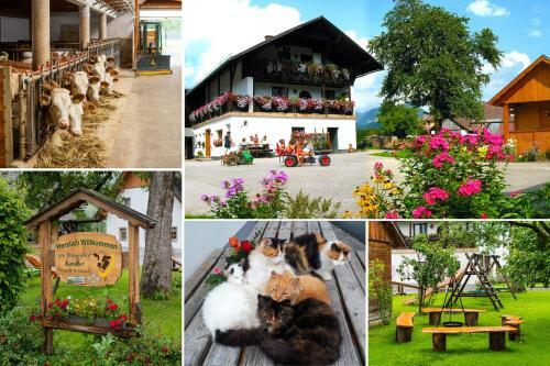 Agroturismo Ferienhof Kandler