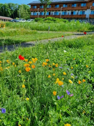 Steig-alm Hotel Superior