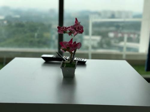 Apartamento Cq28-self Check In- Wifi- Netflix- Parking-new