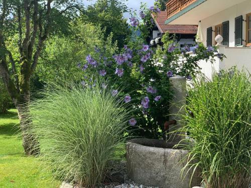 Hotel Garni G�stehaus Brand
