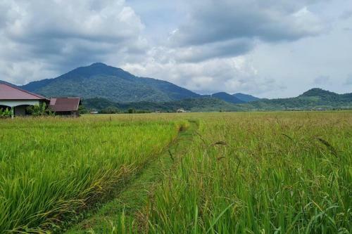 Traditional Homestay Chenang